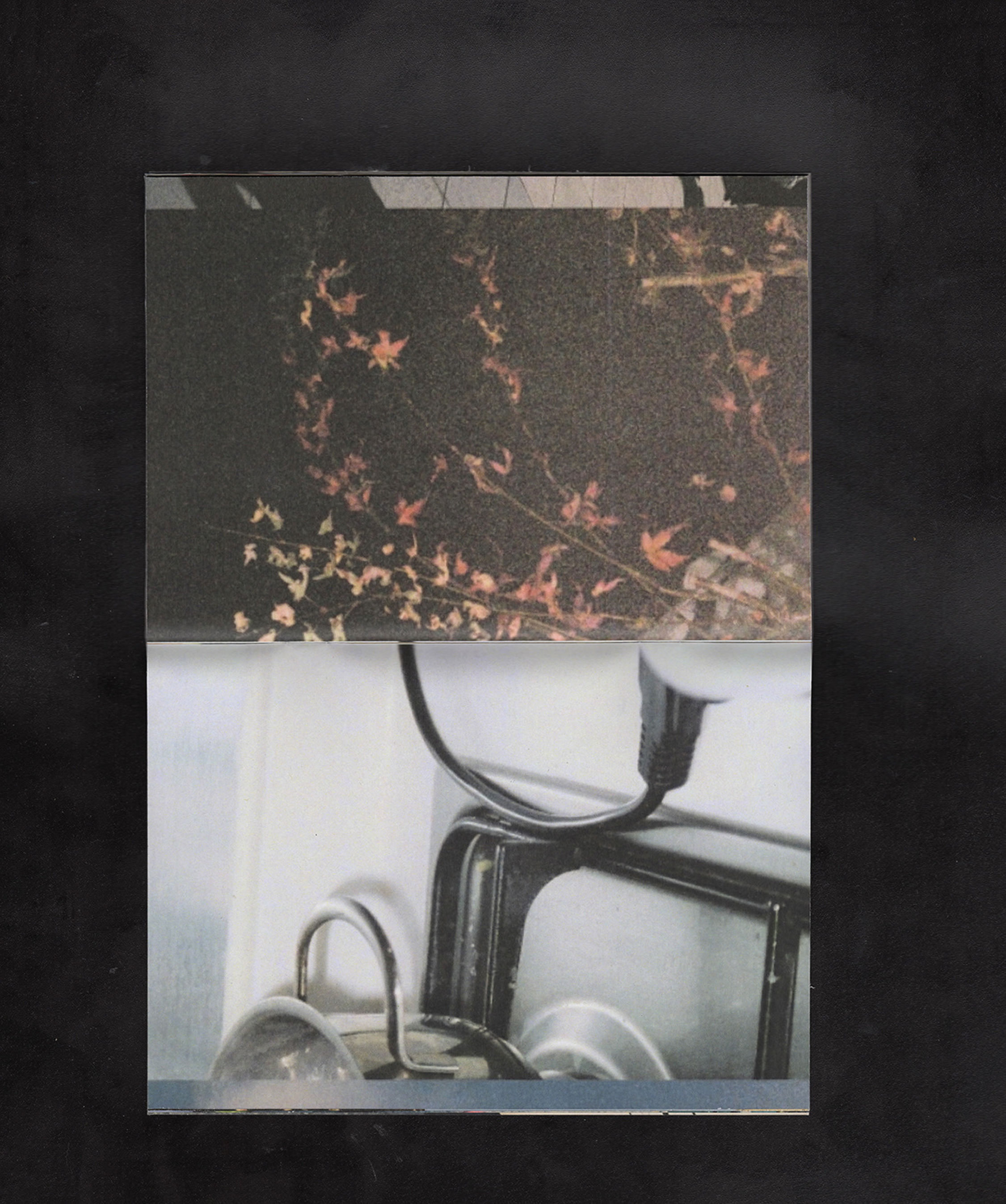 z instant realities 2.jpg